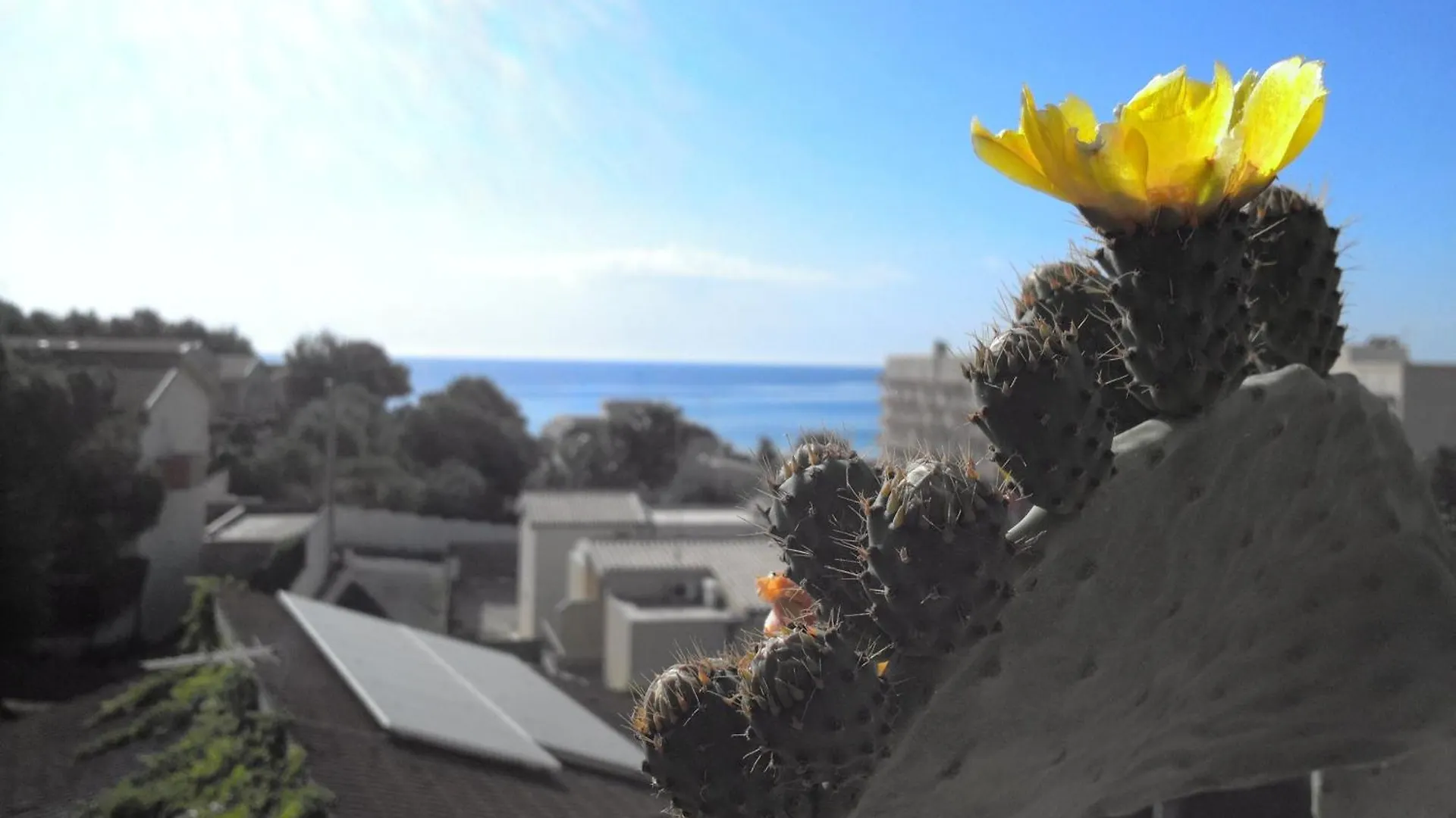 Dove Dormire vicino Vendicari: 6 Hotel per Coppie a Noto